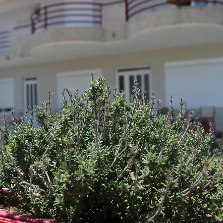 Kondylenia Lägenhet *